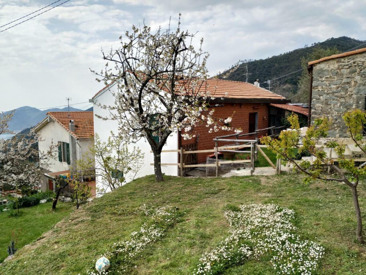 Tra Er Boscu Er Maa Villa Volastra Exterior foto